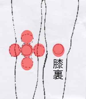 「身体と会話しながら施術する。」これ程理想的な療法は他にない。従って効果抜群。「もちろん、多くの臓器とも会話する」
原因不明のお腹の痛み・胸の痛みに速効性。原因不明の症状に強い。どこよりも進んだ施術を受けられる。自律神経系の活性化を行い、免疫システムの発見が数々の素晴らしい施術効果を生んでいる。
内臓器官の不調を見事に改善。ソフトな手技療法の効果は抜群。自然治癒力を利用施術法は効果が高い。筋肉・神経系・血管系に強い。自然治癒力を利用した施術法は効果が高い。筋肉・神経系・血管系に強い。
自然治療や健康増進を目的としたソフトな施術は数々の効果を生んでいる。全く新しい身体システムの発見が即効性を示す。
