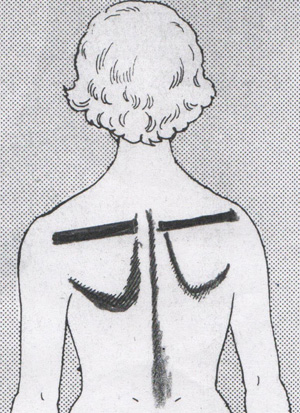 徳島市　カイロプラクティック「身体と会話しながら施術する。」これ程理想的な療法は他にない。従って効果抜群。「もちろん、多くの臓器とも会話する」
原因不明のお腹の痛み・胸の痛みに速効性。原因不明の症状に強い。どこよりも進んだ施術を受けられる。自律神経系の活性化を行い、免疫システムの発見が数々の素晴らしい施術効果を生んでいる。
内臓器官の不調を見事に改善。ソフトな手技療法の効果は抜群。自然治癒力を利用施術法は効果が高い。筋肉・神経系・血管系に強い。自然治癒力を利用した施術法は効果が高い。筋肉・神経系・血管系に強い。
自然治療や健康増進を目的としたソフトな施術は数々の効果を生んでいる。全く新しい身体システムの発見が即効性を示す。