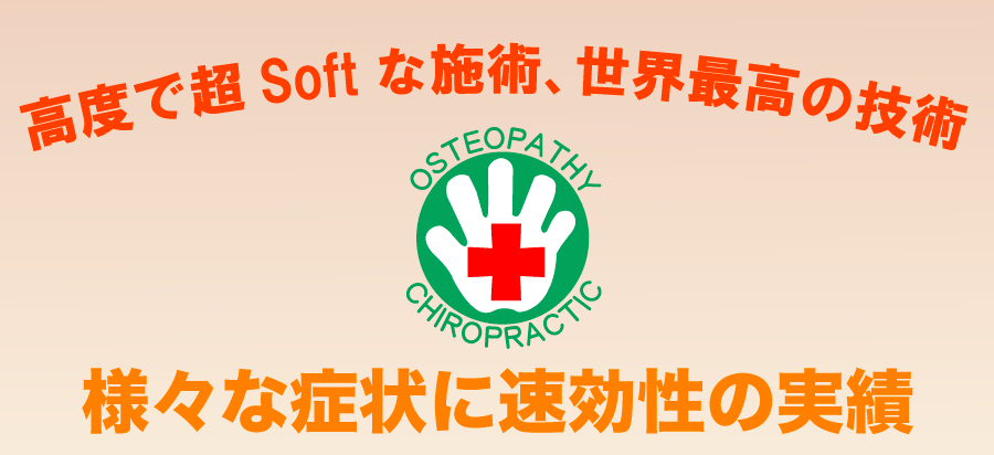 高度で超softな技術、世界最高の施術　ＯＳＴＥＯＰＡＴＨＹ　ＣＨＩＲＯＰＲＡＣＴＩＣ　様々な豊穣に速効性の実績　頭・首・腰の痛みに強い　胸・背中・錦人の痛みに内臓やしぽーつの障害に　自律神経そして免疫の改善に　症状の根本原因を改善　理想な手技療法　女性のヘルスケアにとても役立ちます　薬や言葉のケアで満足できない方　健康管理や保健医療で十分でない方　薬・食事（食物）・言葉のケアで改善しない方　
骨盤矯正は世界一　理想の技術によって自然の無痛分娩に導く。その結果、発達障害（脳機能障害）は99.9％予防できる。発達障害は人体の全く新しいメガニズムの発見と施術技術によって予防できる。即ち、この障害を招く難産の原因となる骨盤の大きなネジレをバランスのとれた正常な状態に導き、産道を最大限広無痛分娩に導く世界一の技術だ。
骨盤は巣のように右上がりです（一般的にすべての人）